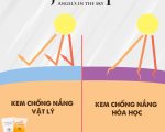 Sự khác biệt giữa kem chống nắng vật lý và kem chống nắng hóa học 